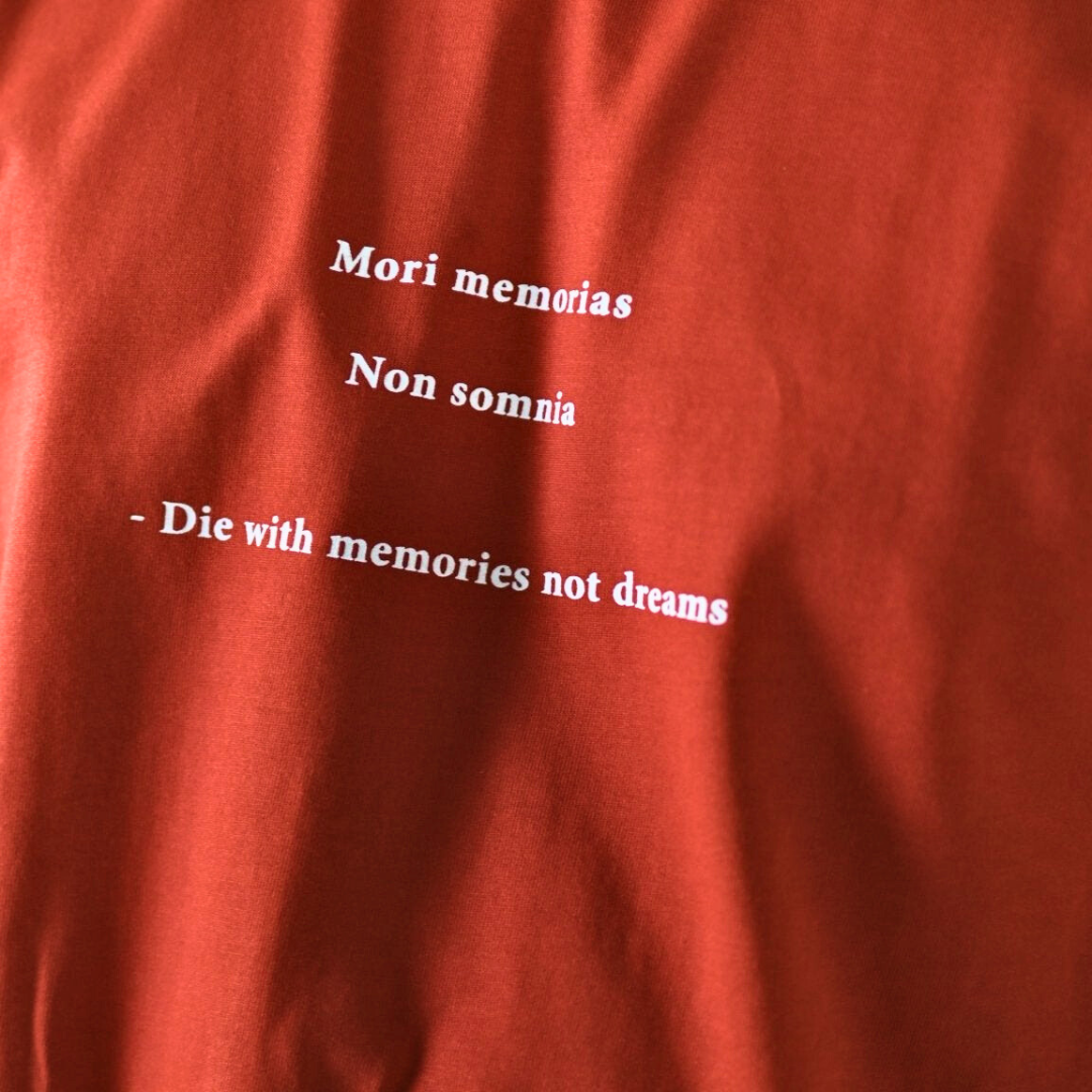 NOR MEMORIES premium sweatshirt | 5th Century Collection | back view | THE SUNYA