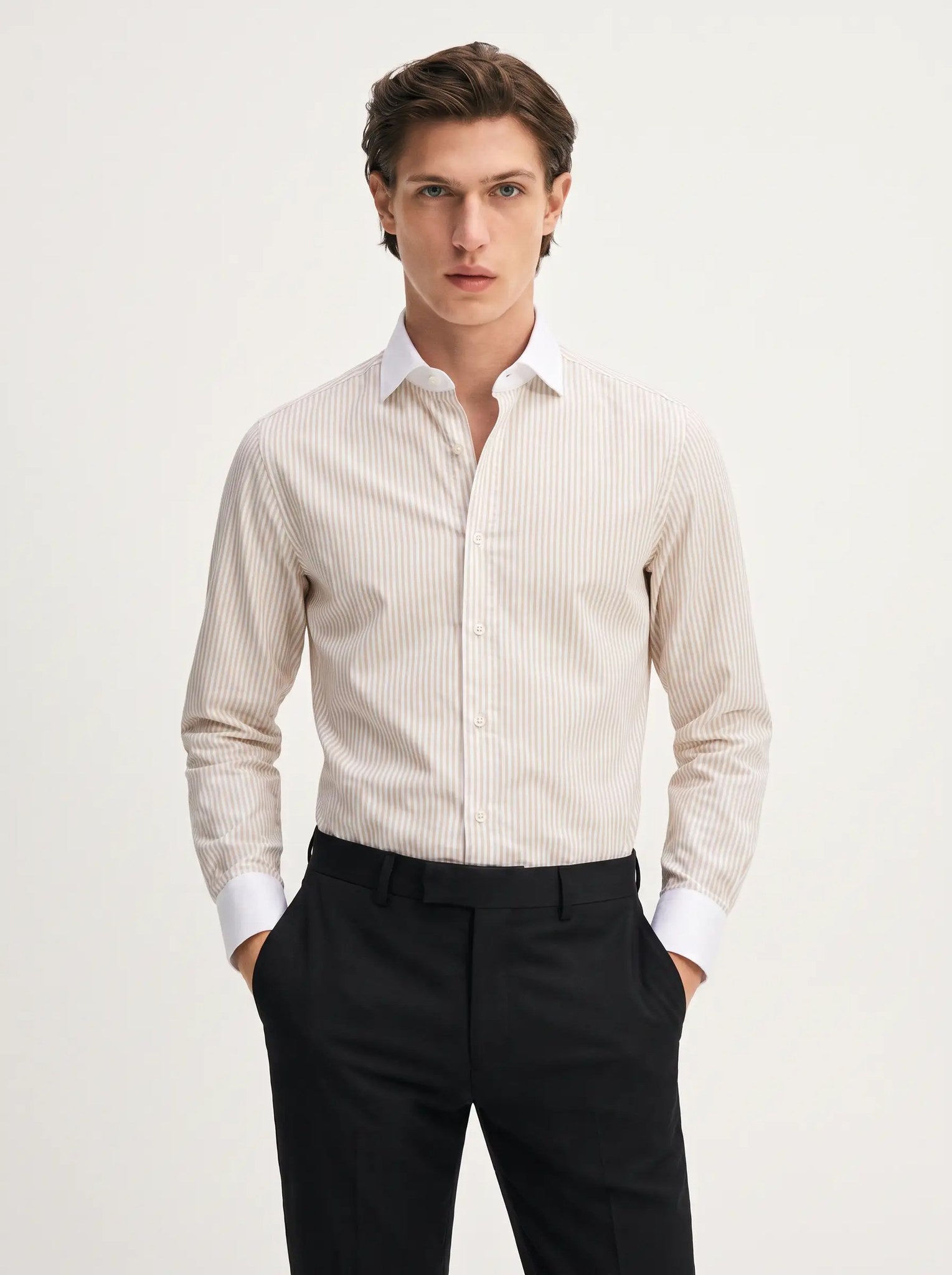 TAURUS Cotton Shirt in sand — fine sand-and-white vertical stripe body with a solid white point collar and solid white cuffs, Winchester contrast-collar style.