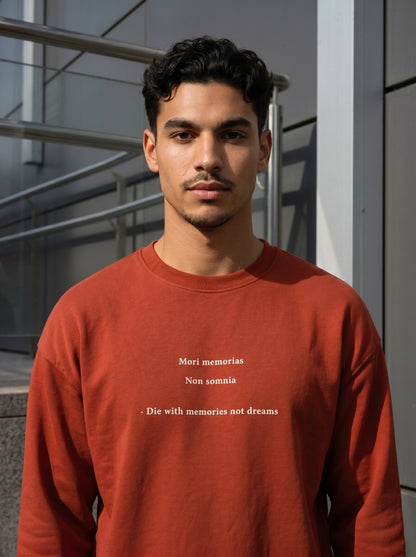 NOR MEMORIES premium sweatshirt | 5th Century Collection | detail | THE SUNYA