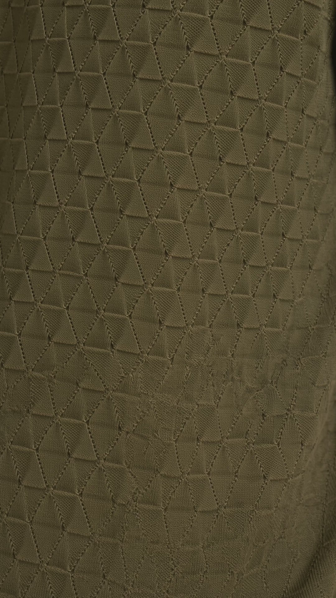 Load video: LEAF Knit Polo — Olive