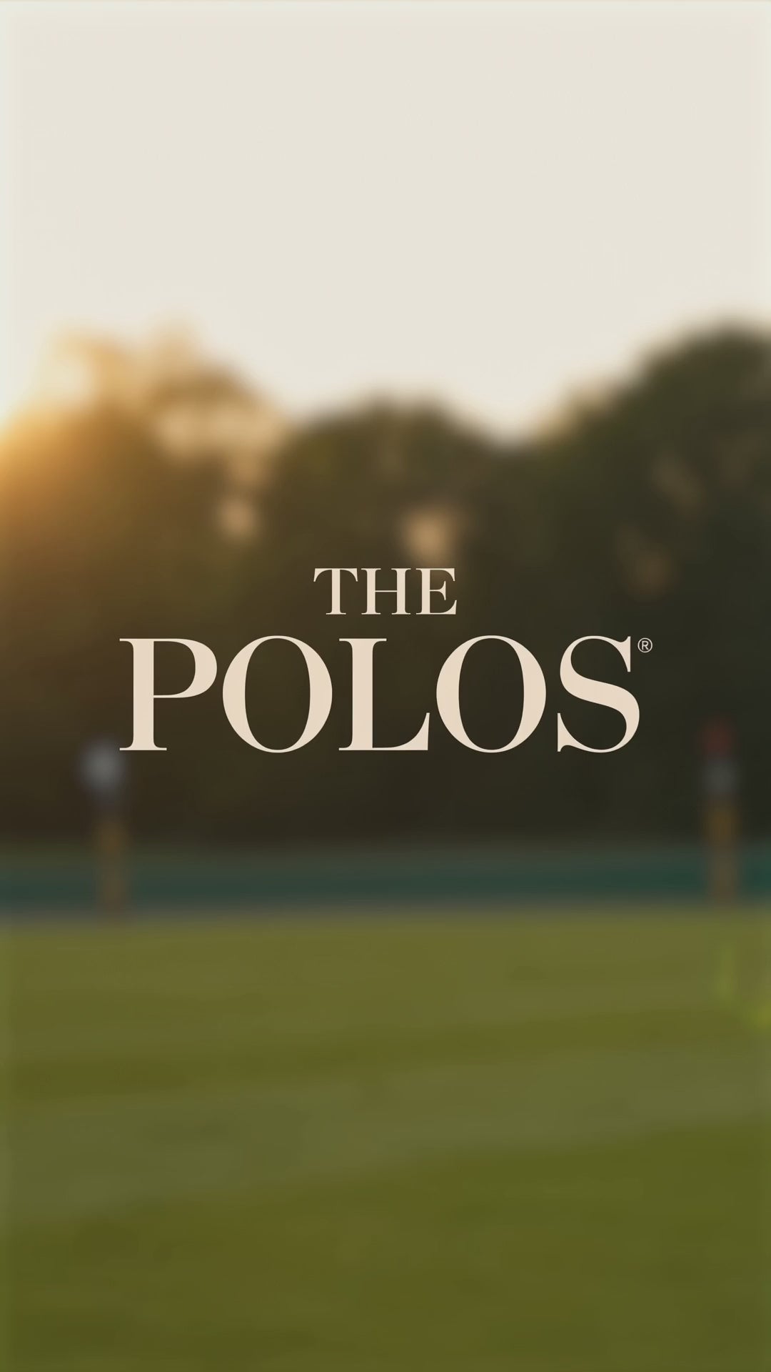 Load video: TILE Knit Polo — Cream