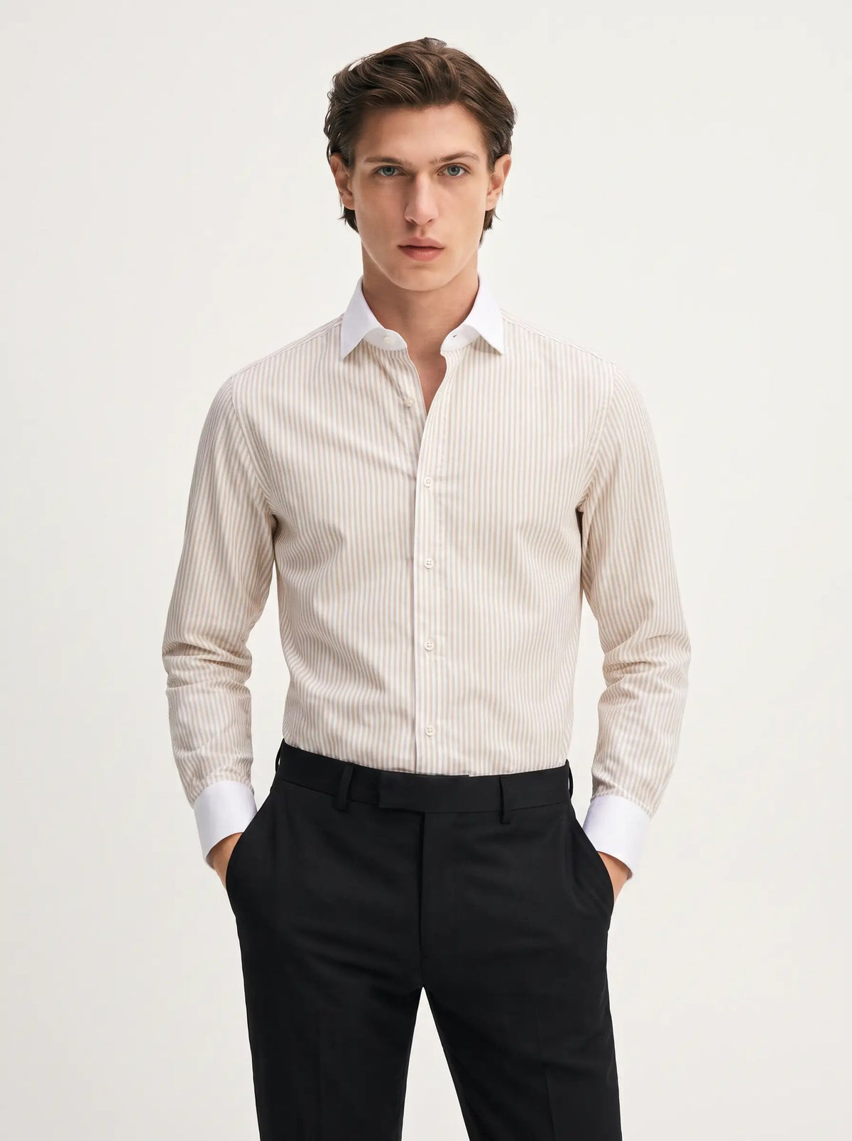 TAURUS Cotton Shirt in sand — fine sand-and-white vertical stripe body with a solid white point collar and solid white cuffs, Winchester contrast-collar style.